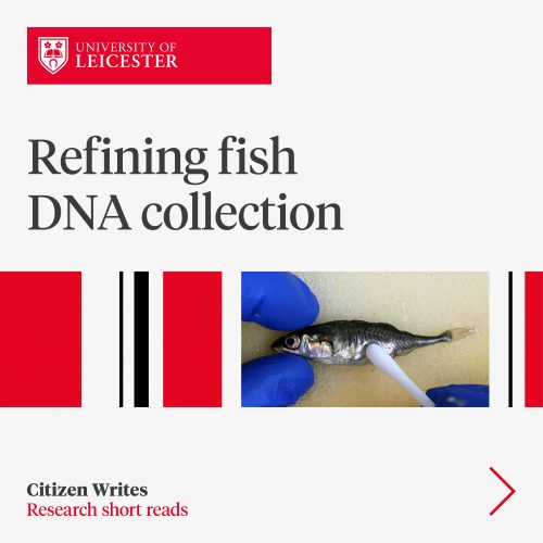 Refining fish DNA collection image