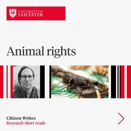 Animal rights image
